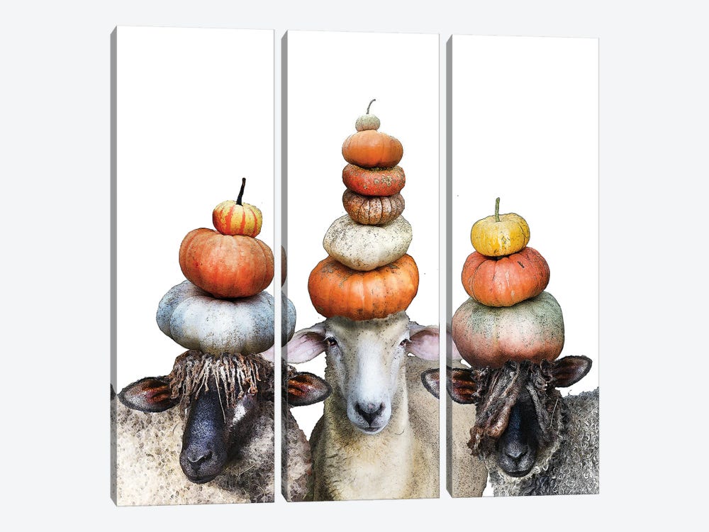 Three Sheep And Pumpkin Stacks by Eric Fausnacht 3-piece Art Print