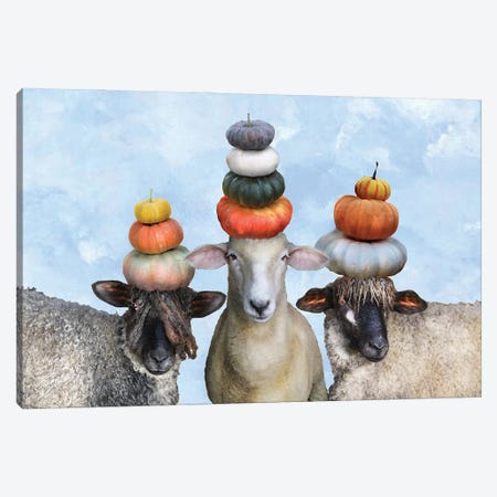 Three Sheep And Pumpkin Stacks II Canvas Print #FAU178} by Eric Fausnacht Art Print