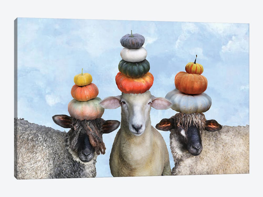 Three Sheep And Pumpkin Stacks II by Eric Fausnacht 1-piece Canvas Wall Art