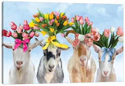 Goats And Tulips Canvas Art Print - Goat Art