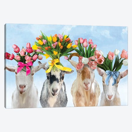 Goats And Tulips Canvas Print #FAU182} by Eric Fausnacht Canvas Artwork