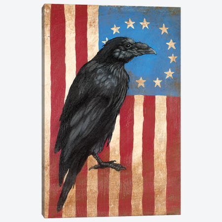 American Flag Crow Canvas Print #FAU1} by Eric Fausnacht Canvas Art