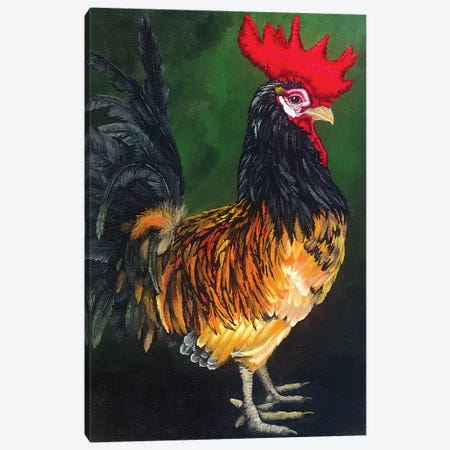 Multicolored Rooster Canvas Print #FAU21} by Eric Fausnacht Canvas Print