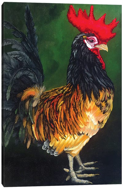 Multicolored Rooster Canvas Art Print - Eric Fausnacht 