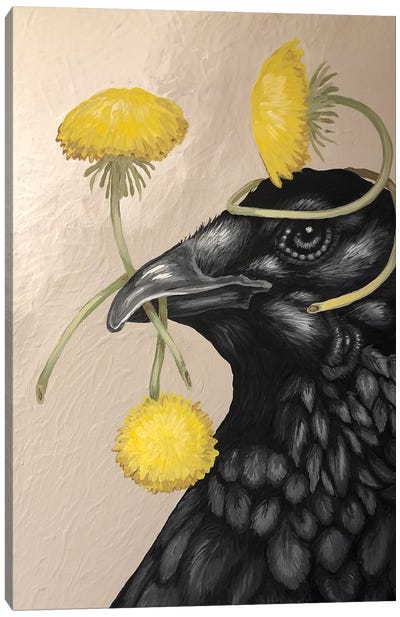 Crow And Dandelions Canvas Art Print - Crow Art