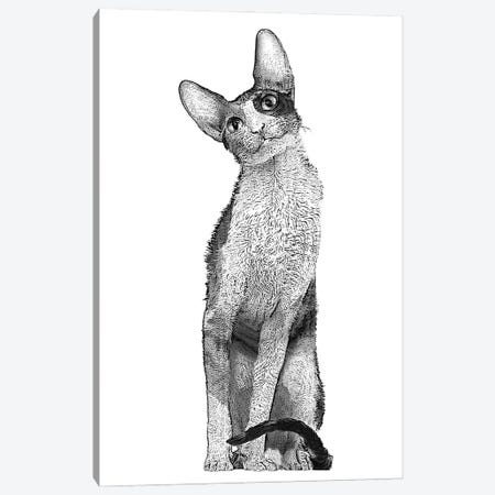 Tall Cat Canvas Print #FAU58} by Eric Fausnacht Canvas Wall Art