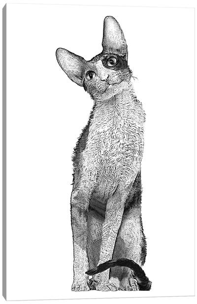 Tall Cat Canvas Art Print - Eric Fausnacht 