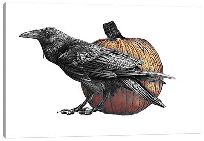 Raven With Pumpkin Canvas Art Print - Eric Fausnacht 