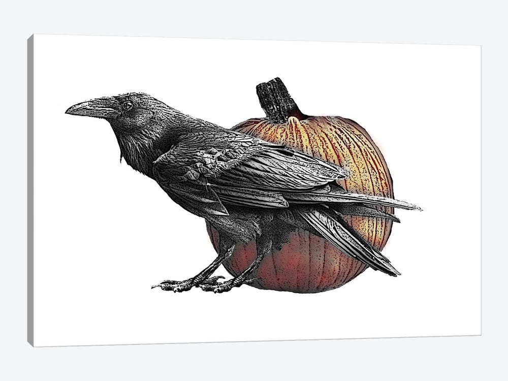 Raven With Pumpkin by Eric Fausnacht 1-piece Art Print