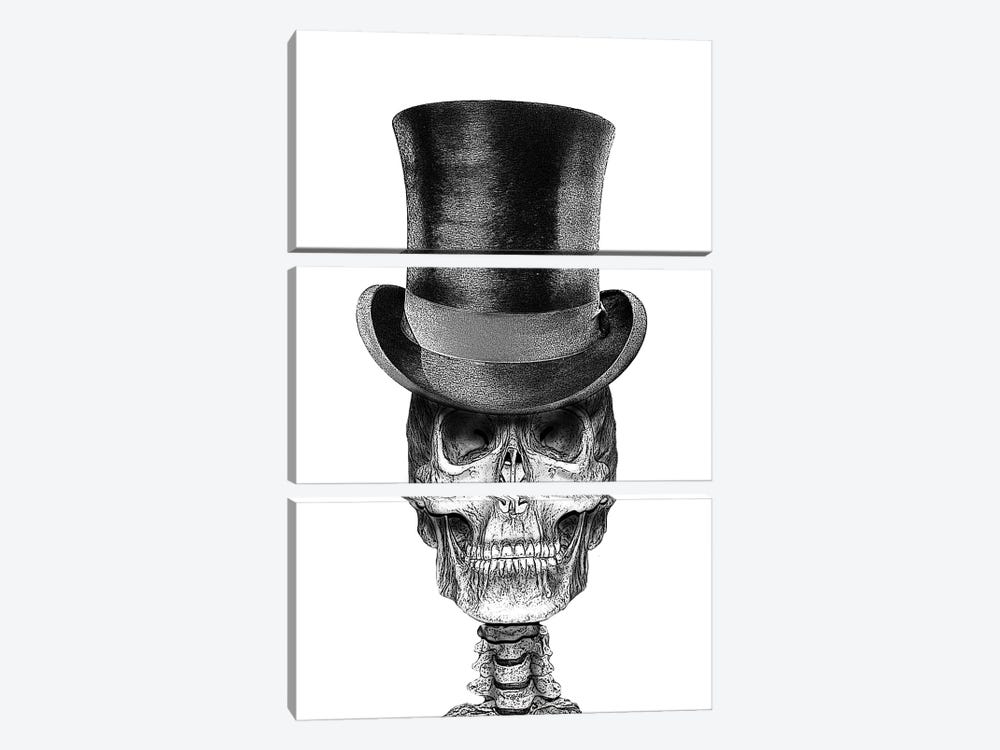 Skull In Top Hat by Eric Fausnacht 3-piece Canvas Wall Art