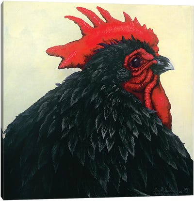 Black Rooster Portrait Canvas Art Print - Farmhouse Kitchen Art