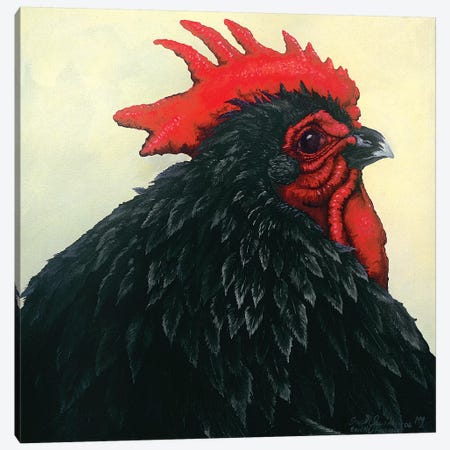 Black Rooster Portrait Canvas Print #FAU6} by Eric Fausnacht Canvas Print