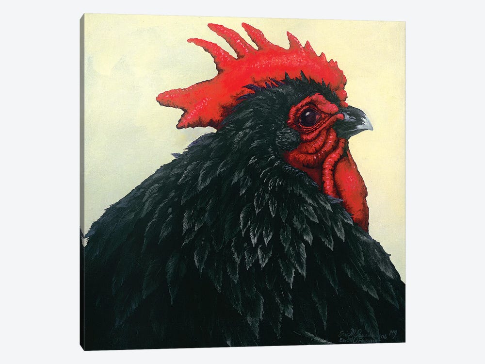Black Rooster Portrait by Eric Fausnacht 1-piece Canvas Art Print
