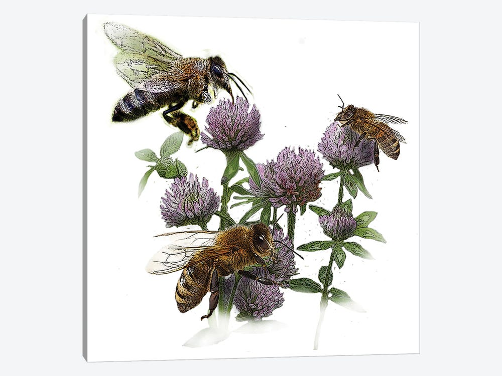 Bees And Clover by Eric Fausnacht 1-piece Canvas Wall Art