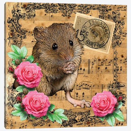 Music Mouse Canvas Print #FAU79} by Eric Fausnacht Canvas Wall Art