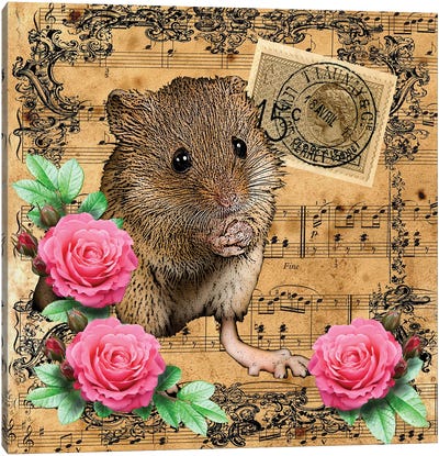 Music Mouse Canvas Art Print - Eric Fausnacht 