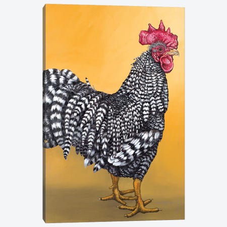 Black And White Rooster Canvas Print #FAU7} by Eric Fausnacht Canvas Print