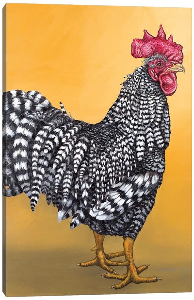 Black And White Rooster Canvas Art Print - Chicken & Rooster Art