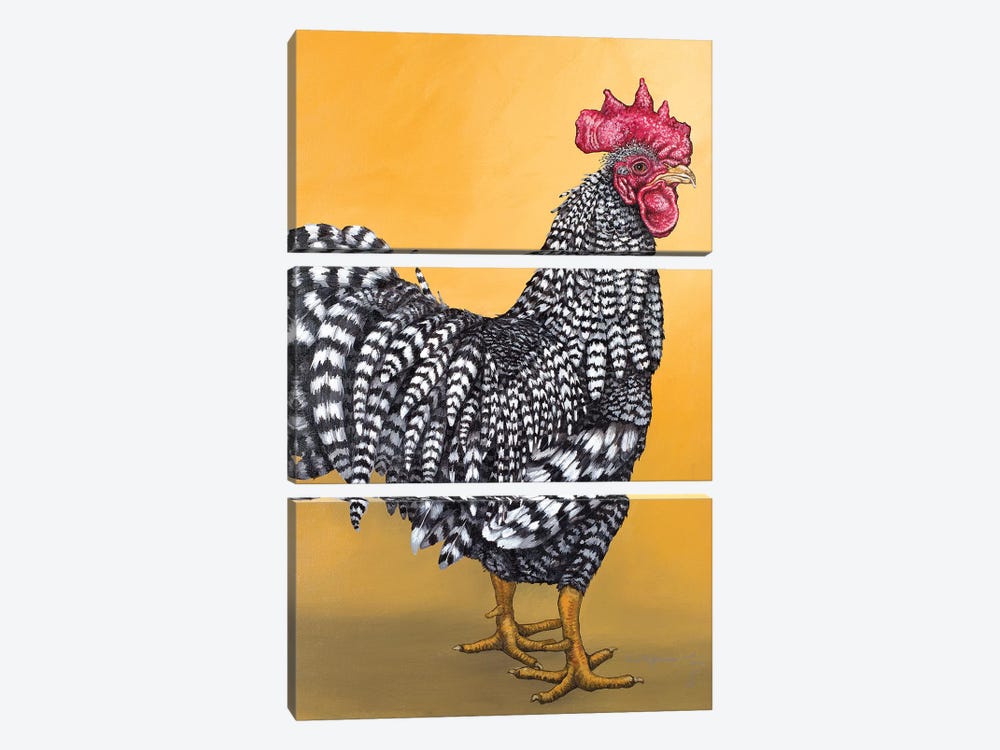 Black And White Rooster by Eric Fausnacht 3-piece Canvas Art