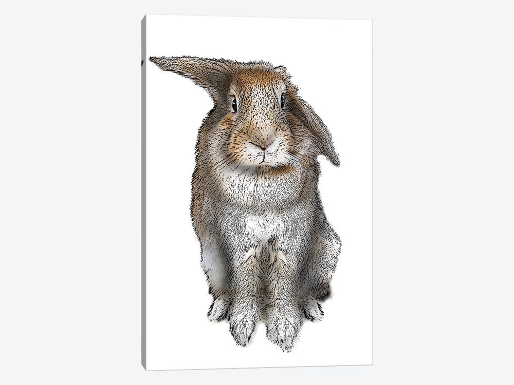 5 O'Clock Rabbit by Eric Fausnacht 1-piece Canvas Print