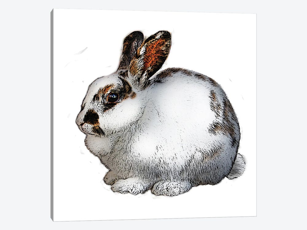 White And Black Rabbit by Eric Fausnacht 1-piece Art Print