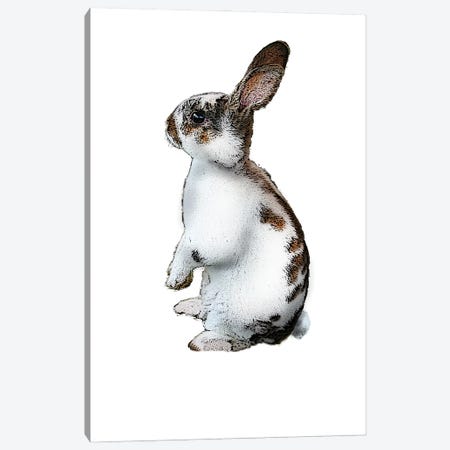 Standing Rabbit Canvas Print #FAU83} by Eric Fausnacht Canvas Print