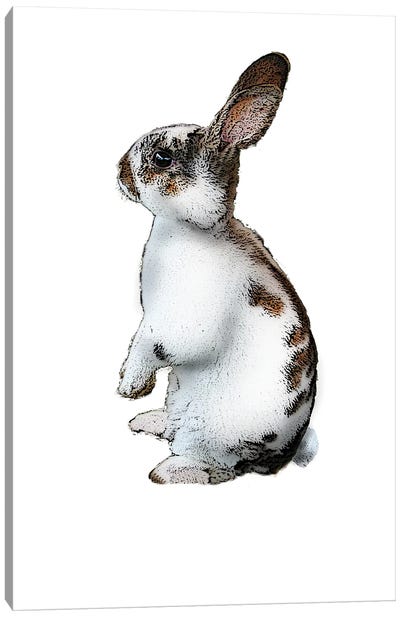 Standing Rabbit Canvas Art Print - Eric Fausnacht 