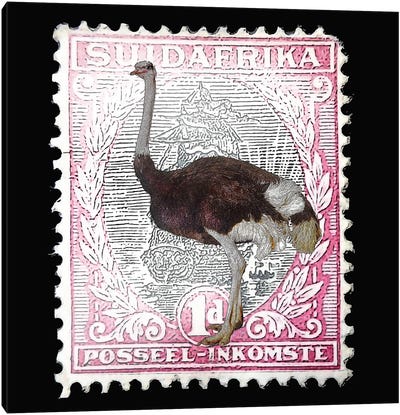 Ostrich With Stamp Canvas Art Print - Ostrich Art
