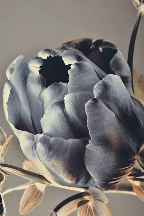 Baroque III by Design Fabrikken wall art