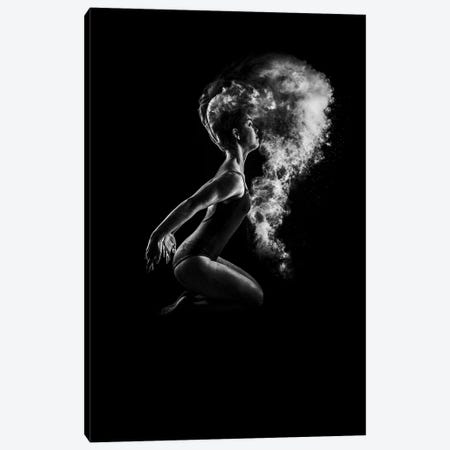 Dusted Canvas Print #FBK15} by Design Fabrikken Canvas Print