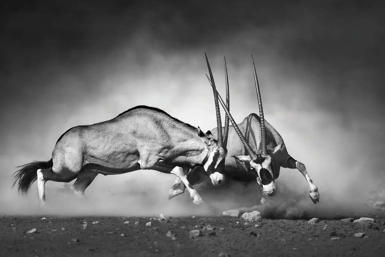 Combat by Design Fabrikken wall art
