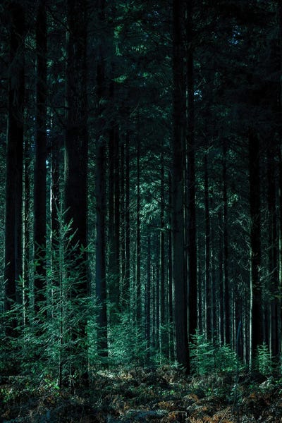 Design Fabrikken: Deep Green by Design Fabrikken