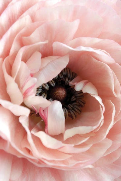 Flower by Design Fabrikken art print