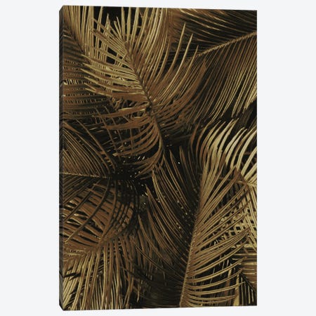 Golden Palm II Canvas Print #FBK287} by Design Fabrikken Canvas Wall Art