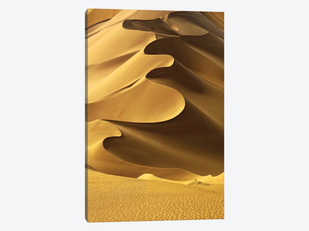 In the Dunes II by Design Fabrikken 1-piece Canvas Art Print