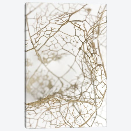 Leaf Skeleton Canvas Print #FBK320} by Design Fabrikken Canvas Artwork