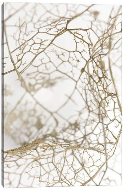 Leaf Skeleton Canvas Art Print - Design Fabrikken
