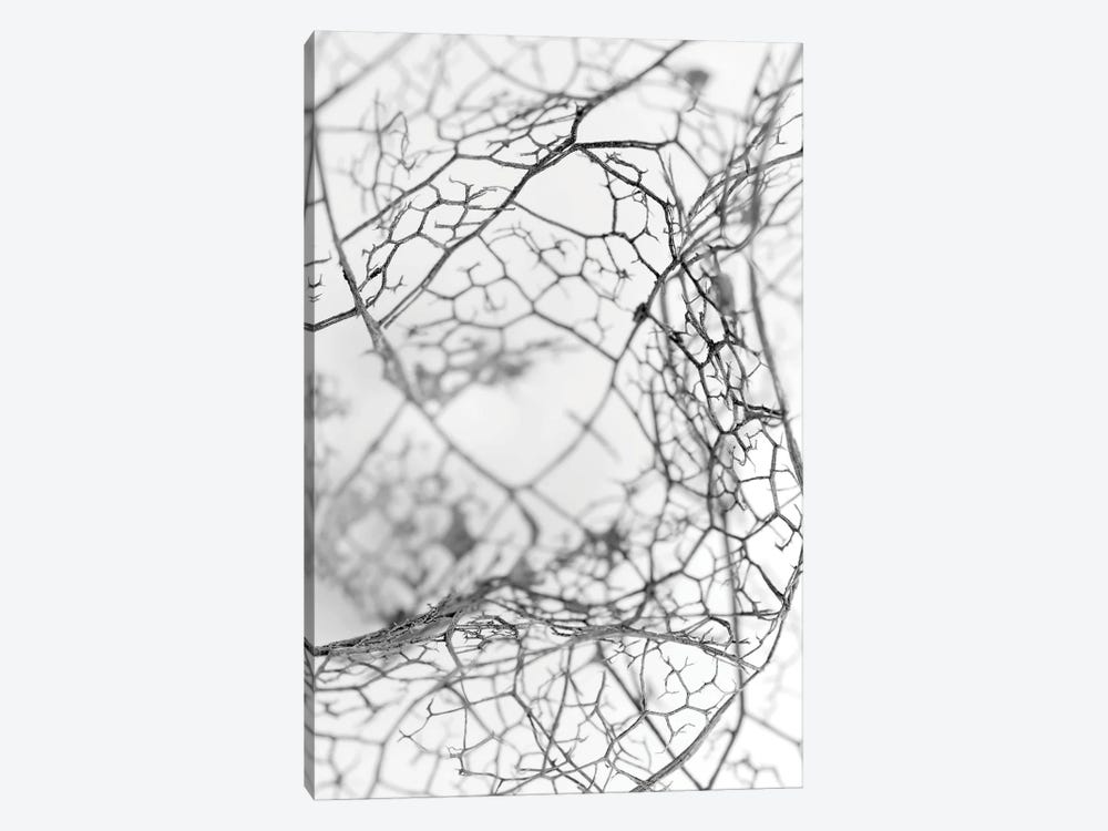Leaf Skeleton BW by Design Fabrikken 1-piece Canvas Wall Art