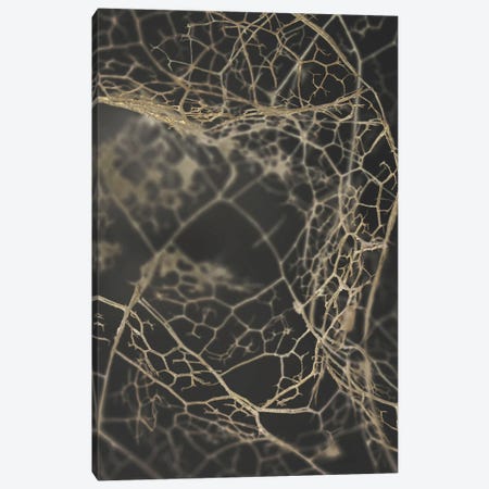 Leaf Skeleton Dark Canvas Print #FBK322} by Design Fabrikken Canvas Artwork