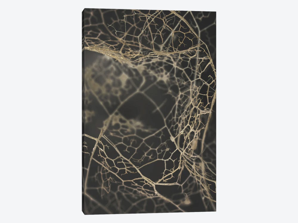 Leaf Skeleton Dark by Design Fabrikken 1-piece Canvas Art Print