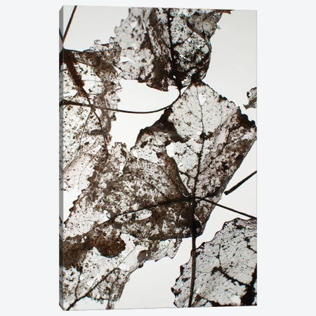 Leaves Canvas Print #FBK324} by Design Fabrikken Art Print