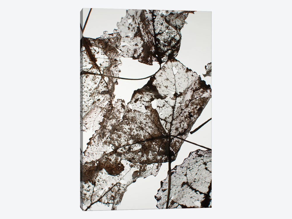 Leaves by Design Fabrikken 1-piece Art Print