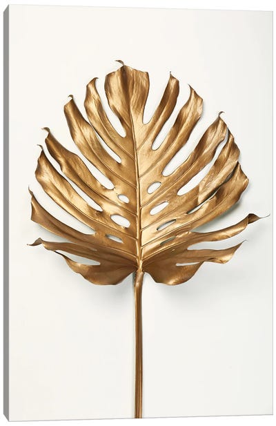 Monstrea Gold Leaf Canvas Art Print - Design Fabrikken