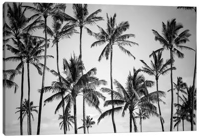 Palm Heaven Canvas Art Print - Design Fabrikken