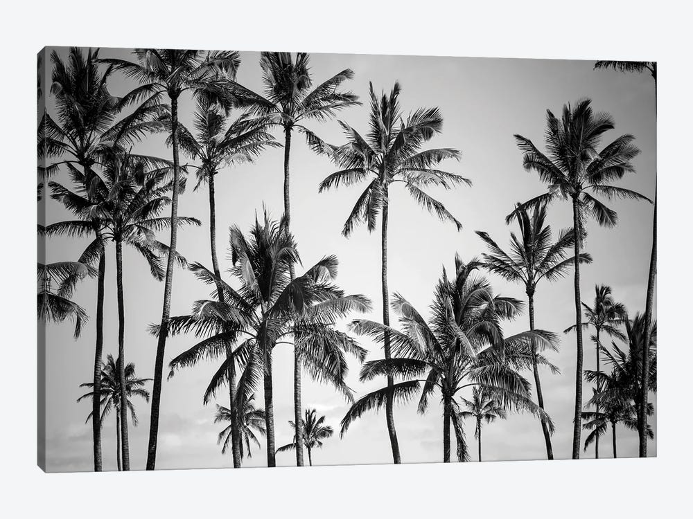 Palm Heaven by Design Fabrikken 1-piece Canvas Print