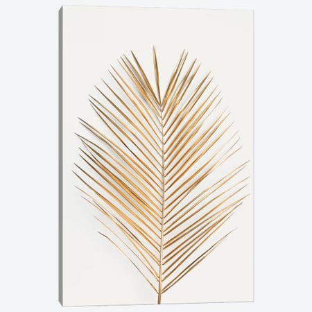 Palm Leaf Gold Canvas Print #FBK360} by Design Fabrikken Canvas Art
