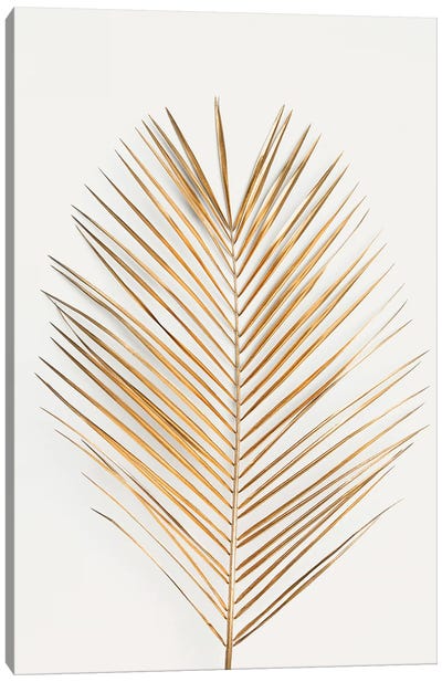 Palm Leaf Gold Canvas Art Print