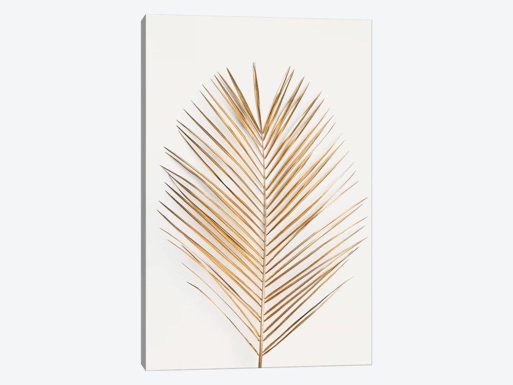 Palm Leaf Gold by Design Fabrikken 1-piece Canvas Print
