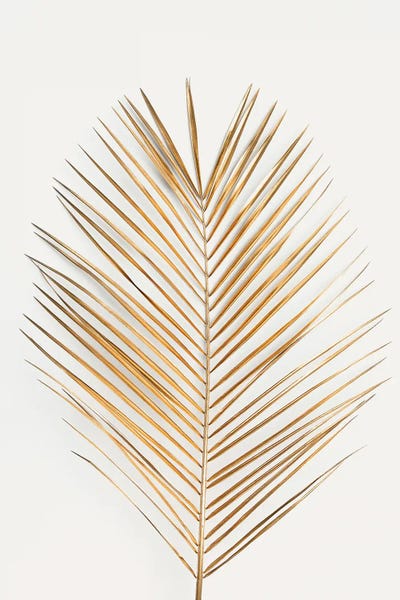 Tropical Leaves: Palm Leaf Gold by Design Fabrikken