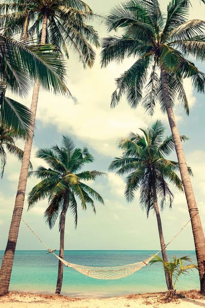 On Island Time: Palm Sky III by Design Fabrikken